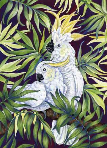 Bird 11